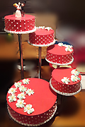 Torte za razne prilike 